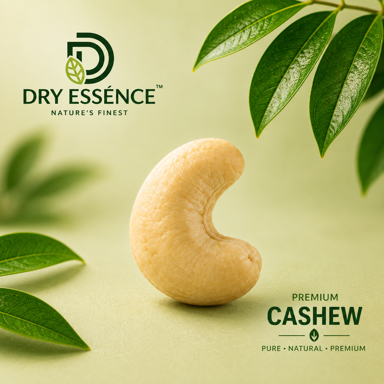 CASHEW